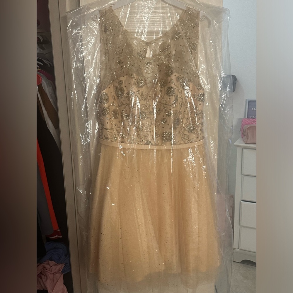 Mayqueen Couture Dress. Very fancy and detailed perfect for a party!